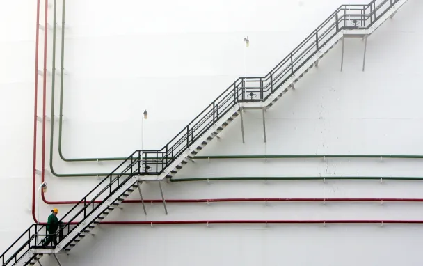 Фото Laszlo Balogh / Reuters