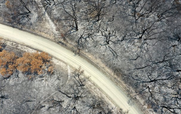 Последствия пожара у Долины кенгуру в австралийском штате Новый Южный Уэльс. Фото Carla Gottgens / Bloomberg via Getty Images