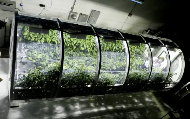 Фото Lunar / Mars Greenhouse
