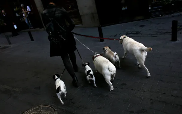 Фото Reuters / Henry Browne