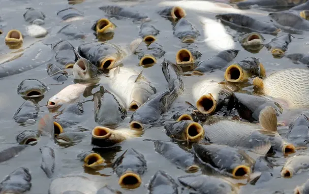Фото David W Cerny / Reuters