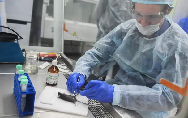 Фото Кирилла Кухмарь / ТАСС