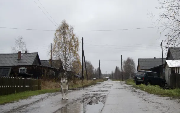 Фото Nataliya Vasilyeva / AP / TASS