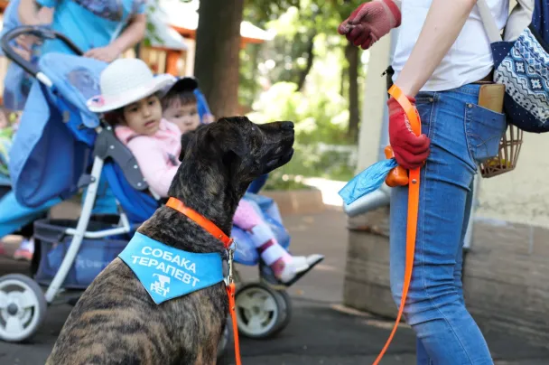 15 благотворительных фондов, которые стоит поддержать прямо сейчас