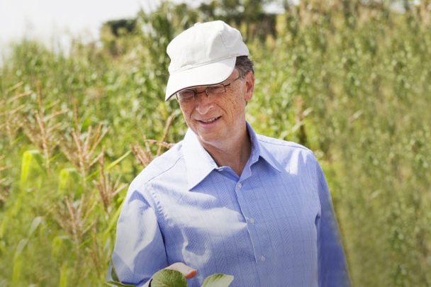 Билл Гейтс стал крупнейшим частным владельцем сельхозугодий в США