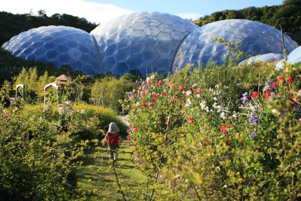 Фото The Eden Project 