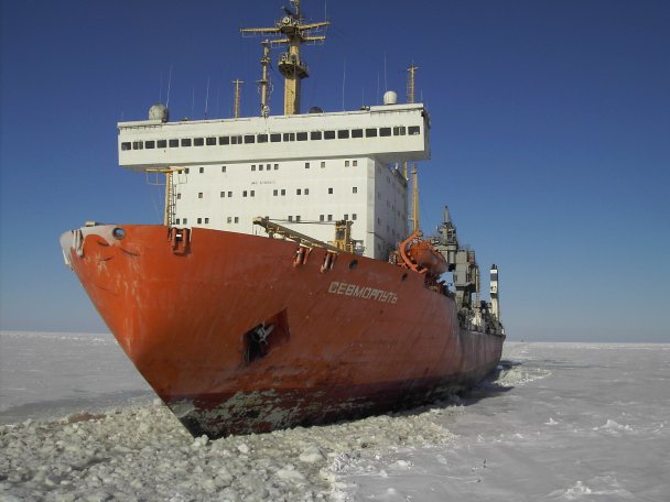 Развитие Северного морского пути станет важной темой V Международного арктического форума «Арктика – территория диалога»