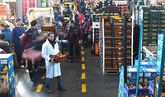 Московский овощной рынок за копейки где находится. Мелкооптовики. Оптовый рынок Станционная ул., 10, Курганинск отзывы.