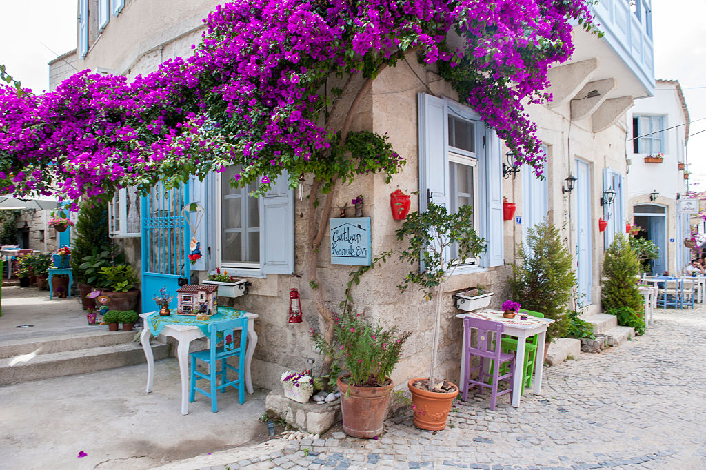 Oral seks tasodifiy video