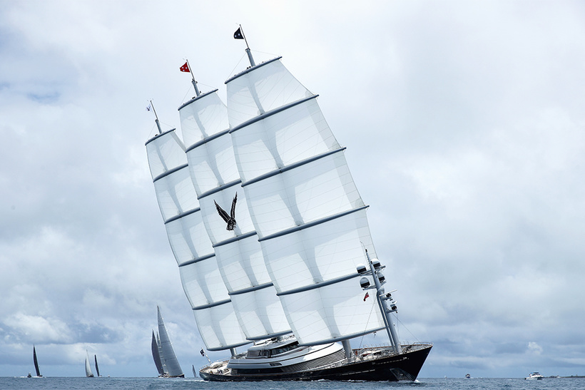 Maltese Falcon