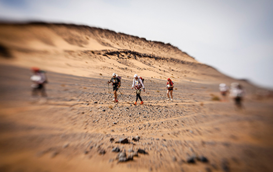 Фото Marathon des sables