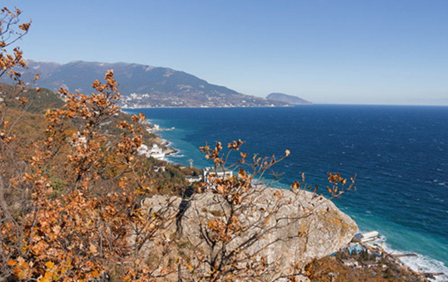 Фото ЛОРИ