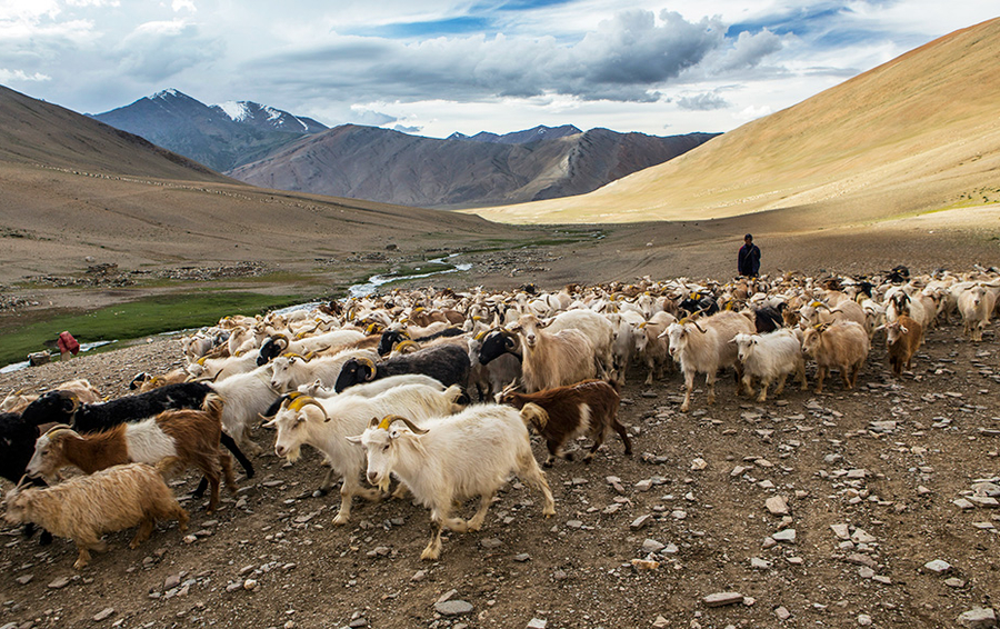 Фото Prashanth Vishwanathan / Bloomberg via Getty Images
