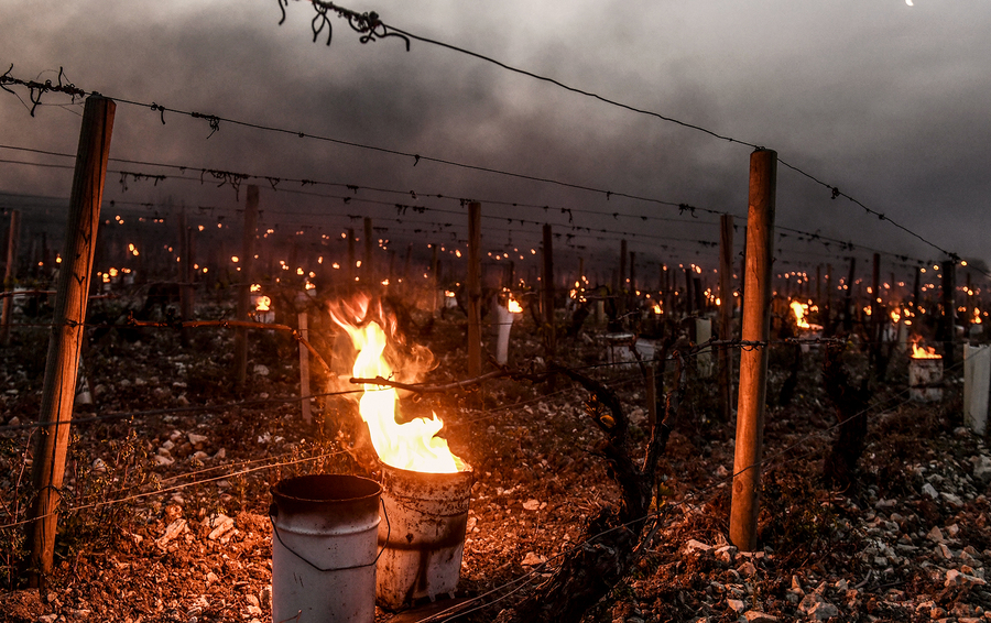 Фото AFP / East News