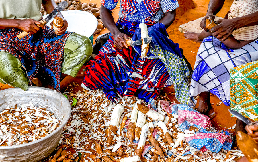 Фото Godong / UIG via Getty Images