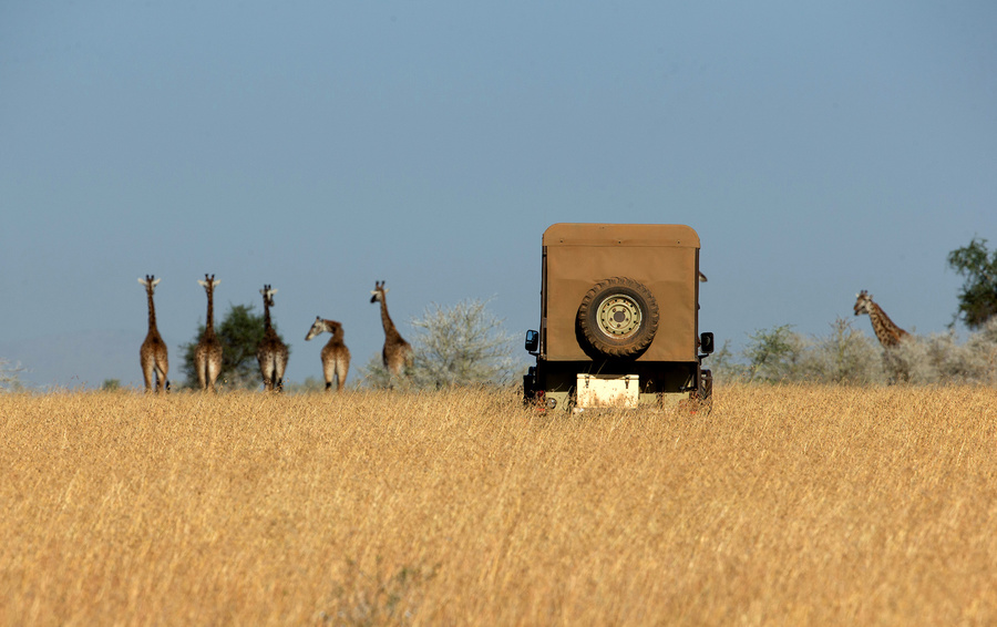 Фото Godong / Universal Images Group via Getty Images