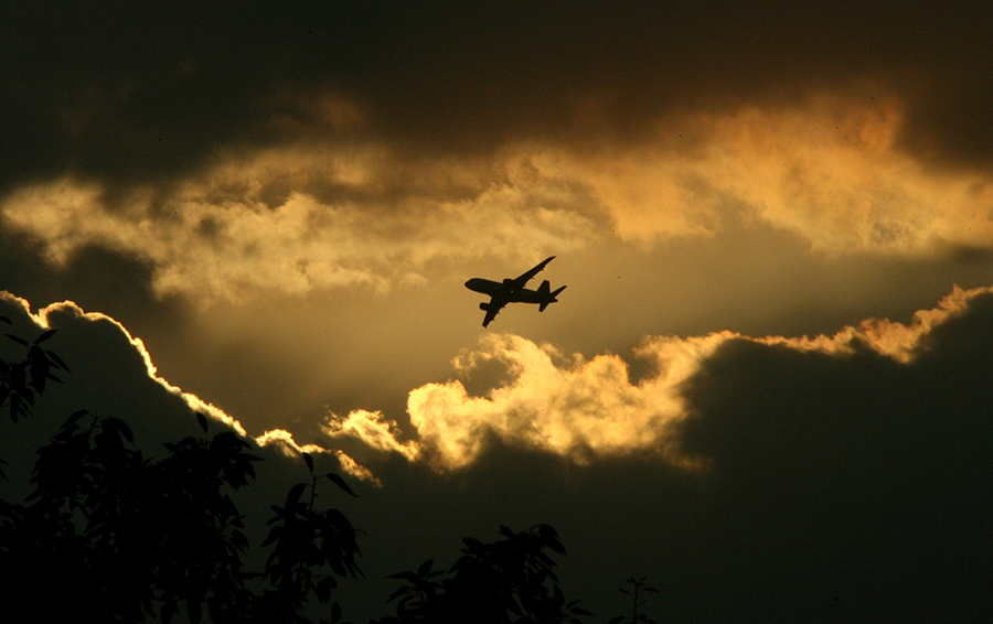 Фото REUTERS / Lucas Jackson