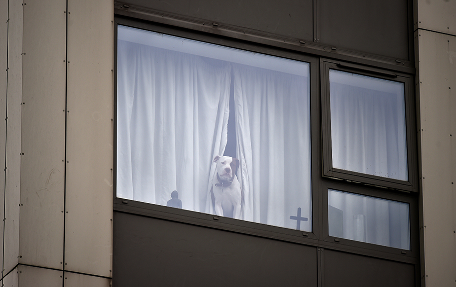 Фото REUTERS / Hannah McKay