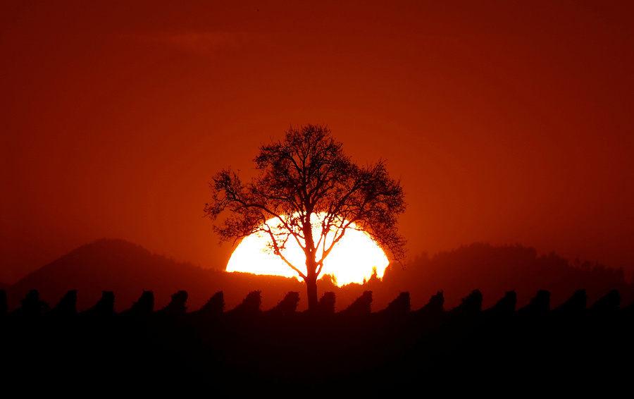 Фото Christian Hartmann / Reuters