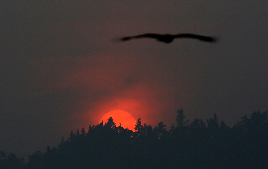 Фото Ilya Naymushin / Reuters
