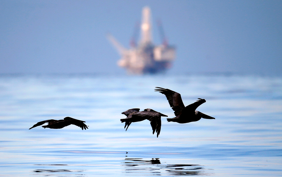 Фото Lucy Nicholson / Reuters