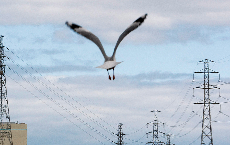 Фото REUTERS / Dado Ruvic