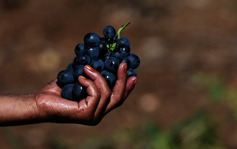 Фото REUTERS / Lucas Jackson