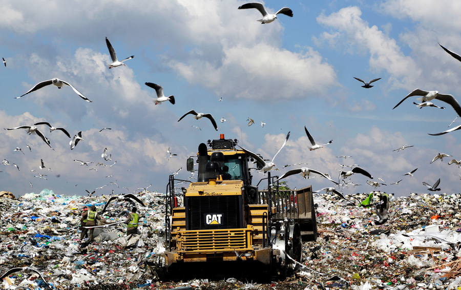 Фото Themba Hadebe / AP / TASS