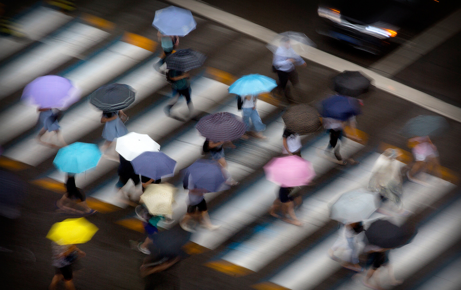 Фото Mark Schiefelbein / AP / TASS
