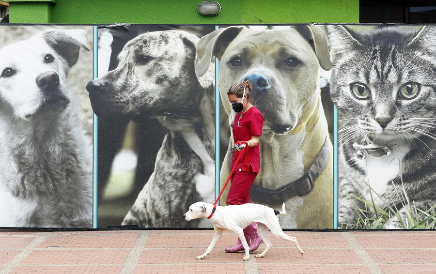 Фото EPA / TASS
