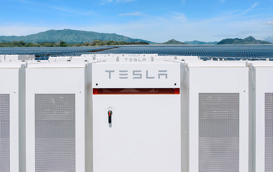 Фото Tesla