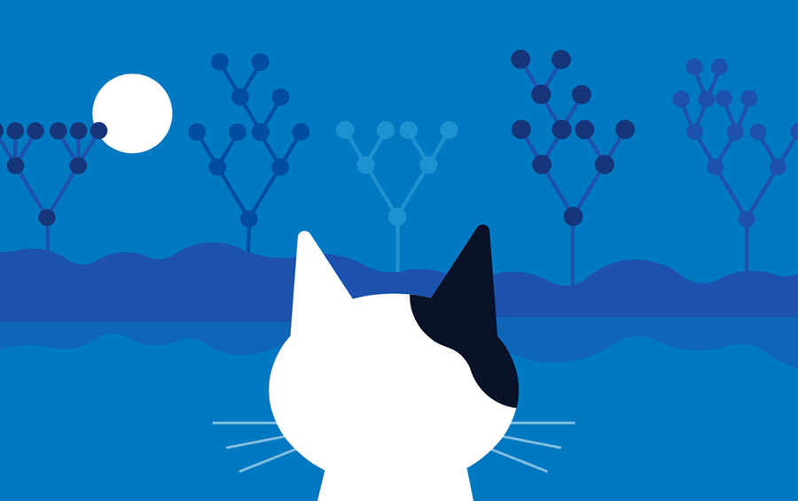 CatBoost