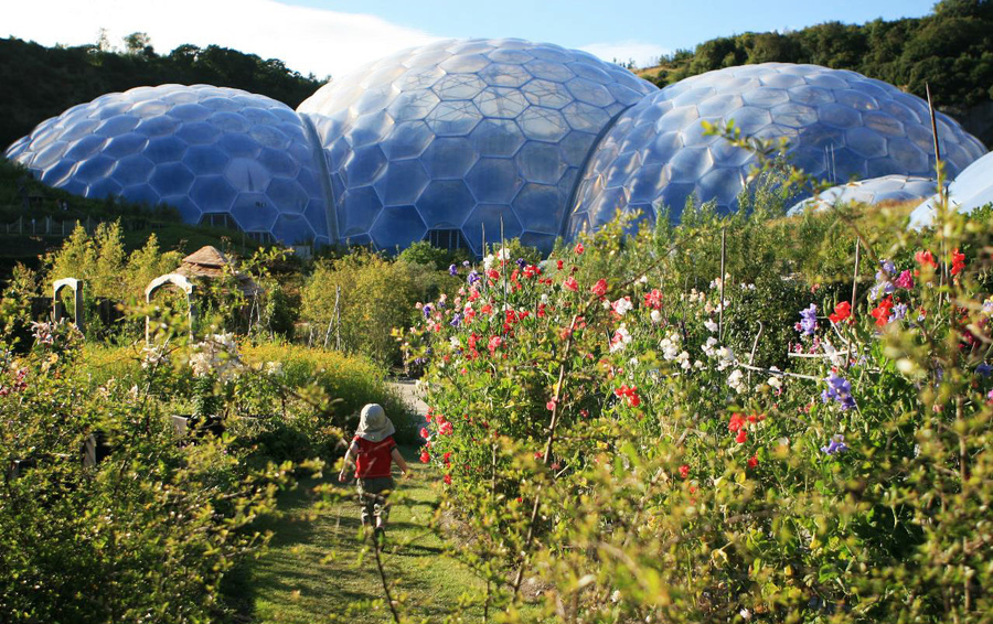 Фото The Eden Project