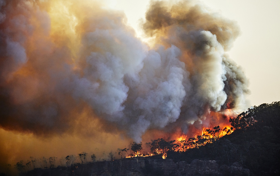 Фото Getty Images