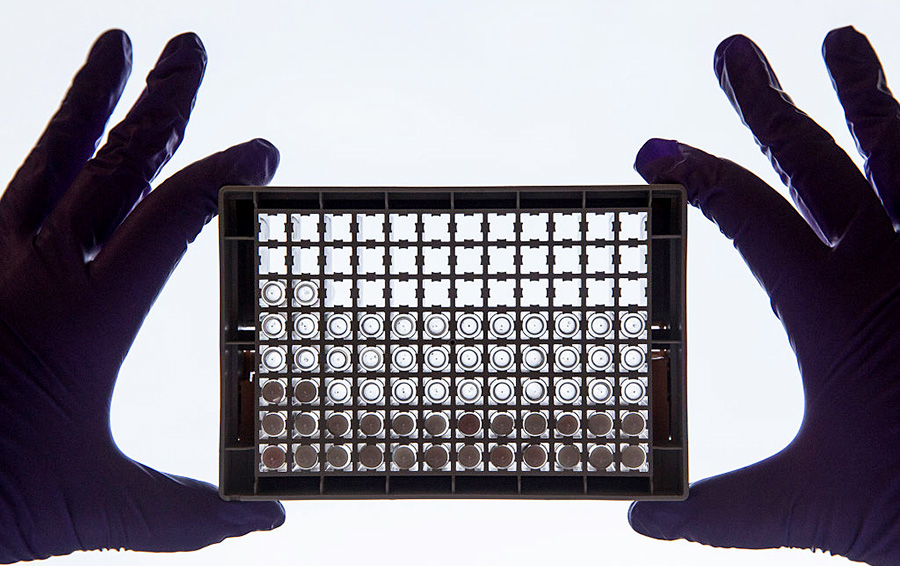 Фото Dan Kitwood / Getty Images / Cancer Research UK