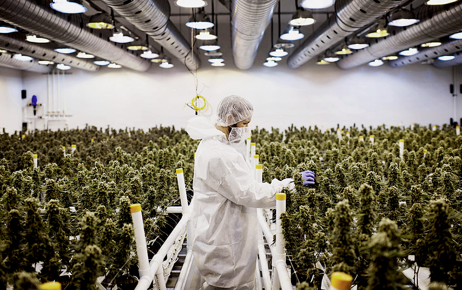 Фото James MacDonald / Bloomberg via Getty Images