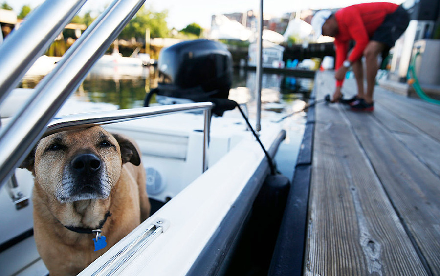 Фото Jessica Rinaldi / The Boston Globe via Getty Images