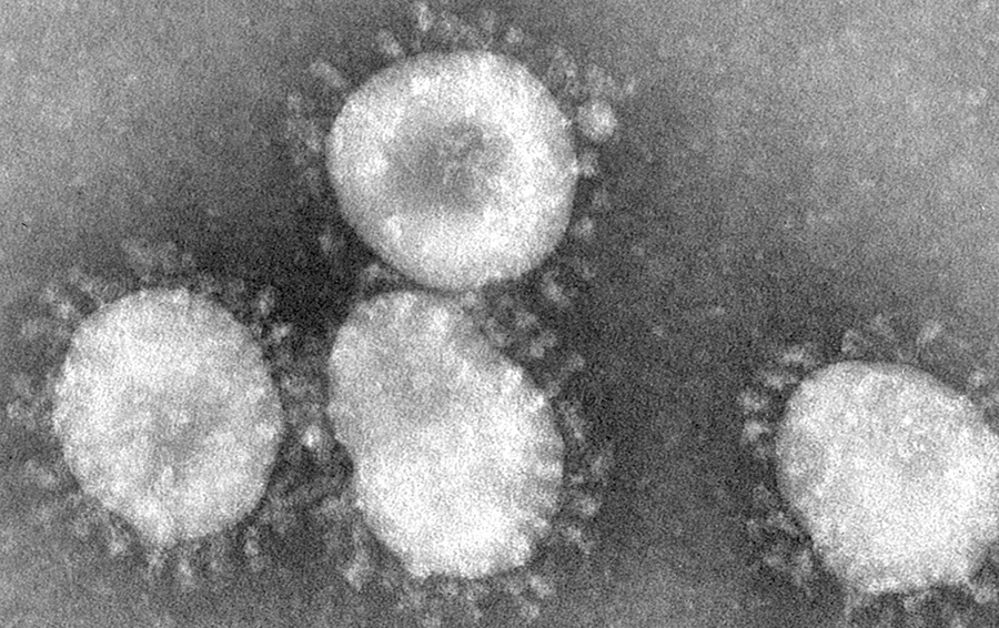 Фото CDC/PHIL/CORBIS/Corbis via Getty Images