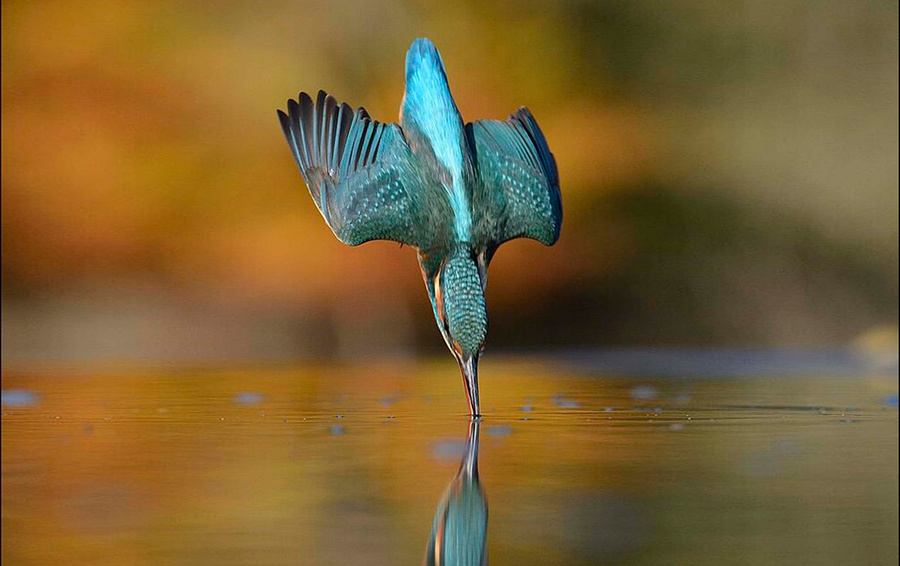 Фото Getty Images