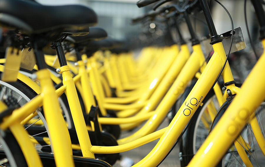 Фото Ofo