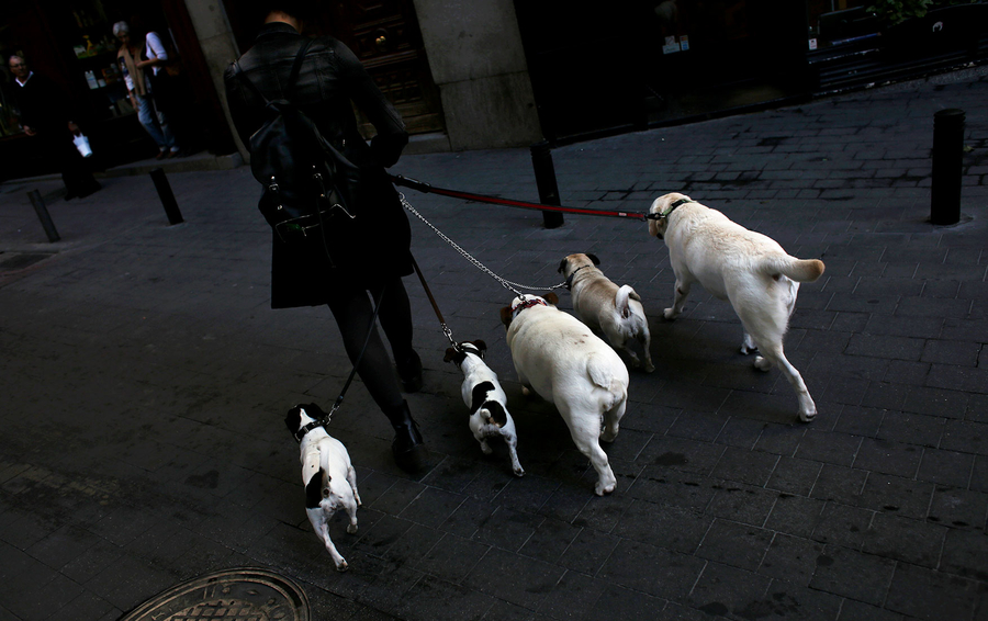 Фото Reuters / Henry Browne