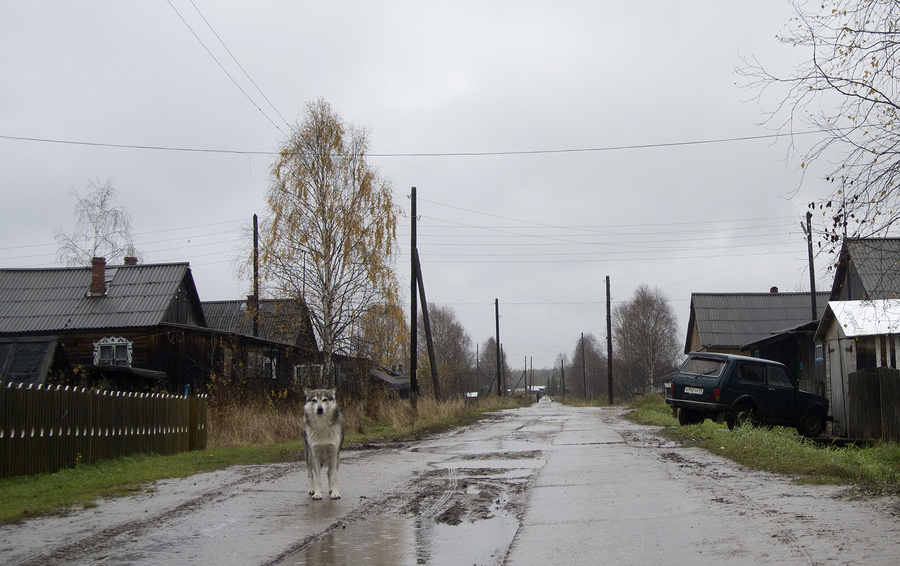 Фото Nataliya Vasilyeva / AP / TASS