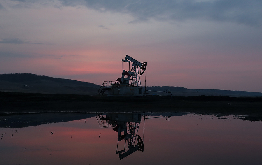 Фото Егора Алеева / ТАСС