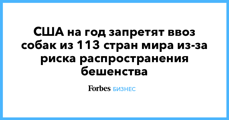 США на год запретят ввоз собак из 113 стран мира из-за риска распространения бешенства - Vimarsana News