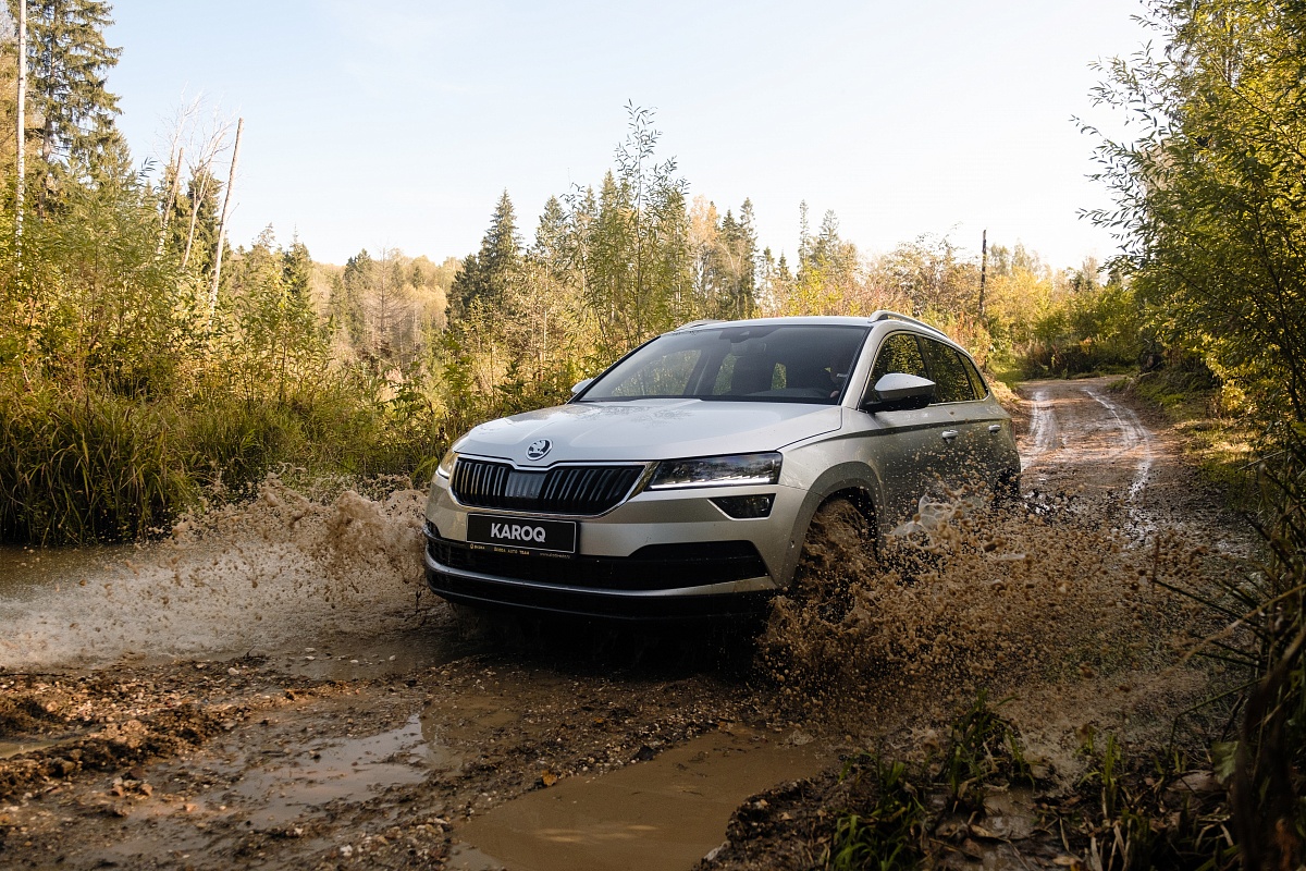 Маленький медведь. Skoda Karoq готовится к наступлению зимы