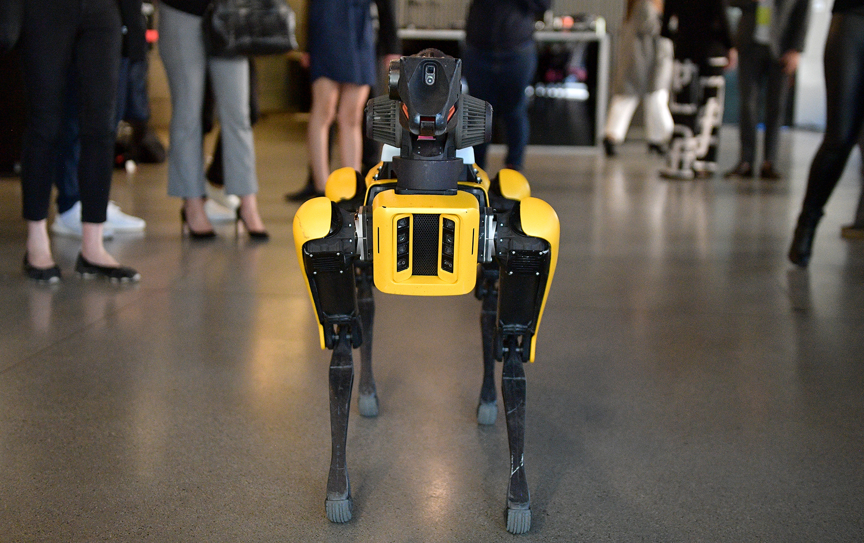 Way robots. Робот собака Бостон Динамикс. Бостон Дайнемикс боевой робот. Spot (Boston Dynamics, США). Boston Dynamics робот и человек.
