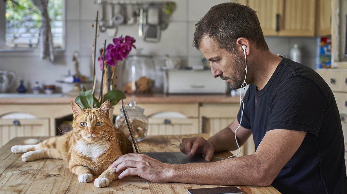 Мы устали сидеть дома»: вернутся ли сотрудники в офисы после пандемии |  Forbes Life