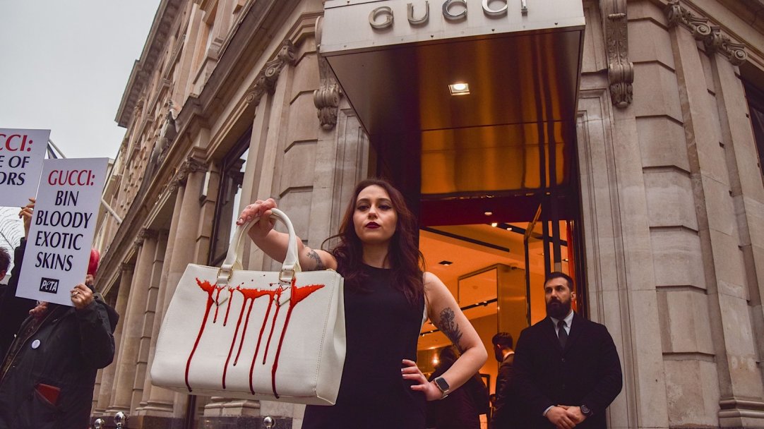 Зоозащитники заставляют Gucci и Hermès отказаться от кожи экзотических  животных | Forbes Life