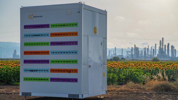 Роботизированный улей Beewise актуален сегодня, так как популяция пчел снижается из-за пестицидов (Фото Beewise)