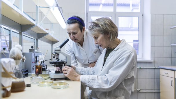 Ученые за работой в одной из лабораторий в Калининграде (Фото Getty Images)